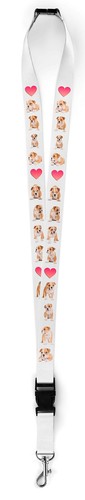 Lanyard schlüsselband - lanyard,
