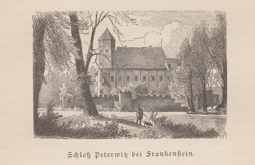 Frankenstein zabkowice slaskie - zabkowice,