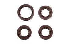 Simmerringe zum Motor für MZ RT 125/3 - FPM Wellendichtringe