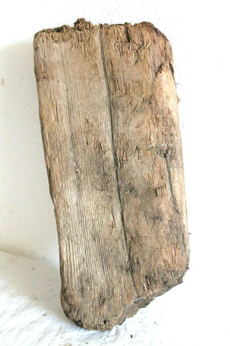 Schwemmholz treibholz brett - ,