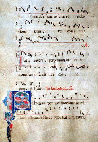 Gotik antiphonar manuscript - gotik,