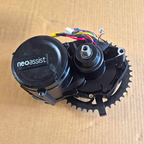 Neoassist bike motor - neoassist,