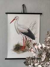 alte Rollkarte Lehrtafel