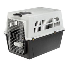 Transportbox Hunde Reise Boot