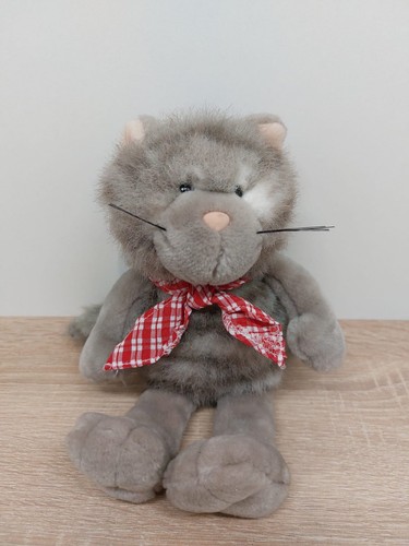 Nici katze kater cats - katze,