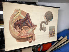 Schulwandkarte DDR Rollkarte