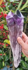 Amethyst spitze - ,