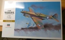 %%% Hasegawa  ST29 P-40E