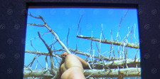D35/05 Altes Akt Dia 35mm /
