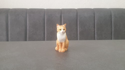 Ingwer und weiße katze - und,