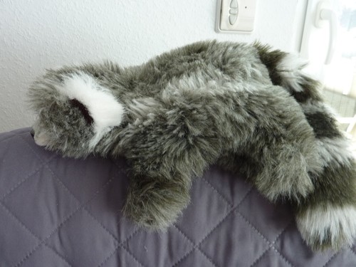 Waschbär handpuppen plüsch - waschbär,