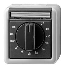 Gira Zeitschalter mechanisch