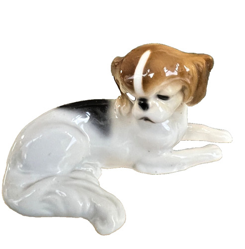 Liegender hund - liegender,