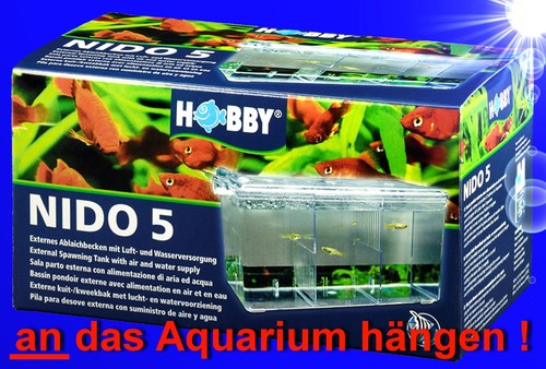 Aquarium ablaichkasten - 1a, 🐟
