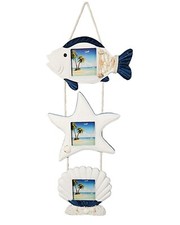 Fisch seesterne muscheln - fisch-seesterne-muscheln,