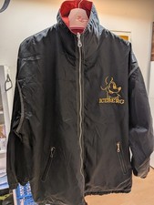 Iceberg Mickey Mouse