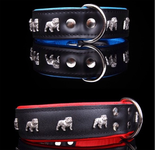 Motiv halsband englische - motiv,