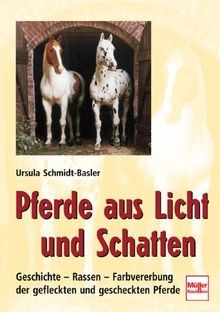 Pferde aus licht und schatten - pferde,