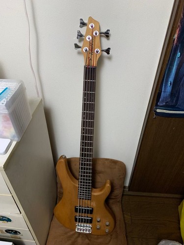 Washburn saiter bass - 5-saiter, e-bass
