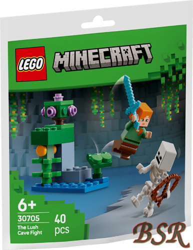 Lego polybag minecraft - lego®, polybag:
