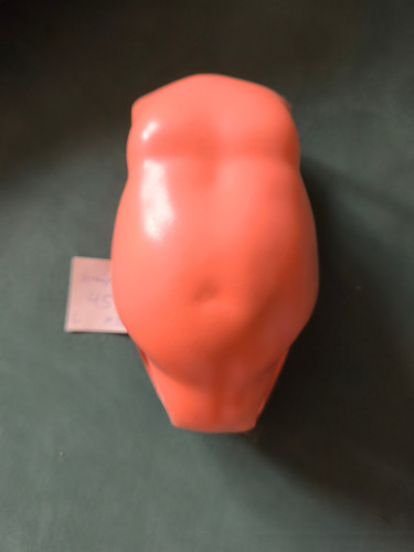 Schildkröt puppen torso - puppen,