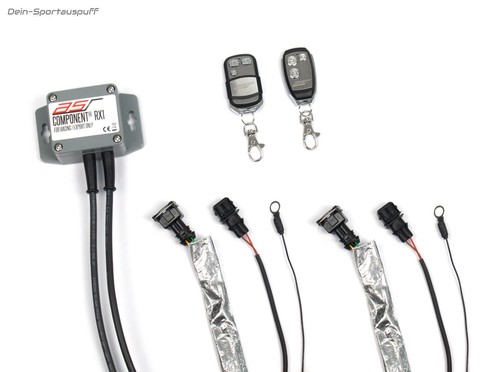 Asr klappensteuerung rx1 - rx1, für