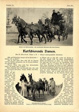 Kutschierende Damen Helen Barney R. Vanderbilt v. Pleß Pferde Cobcart Sulky 1903