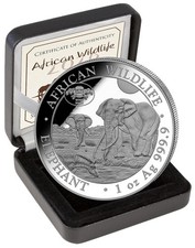 Somalia 100 Sh. 2026 Elefant