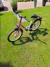 Pegasus Acrona 20 Zoll