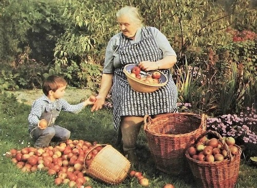Der herbst hat - der, Äpfel