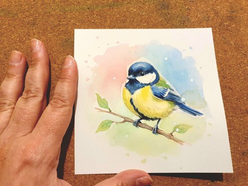 Aquarell kohlmeise - aquarell,
