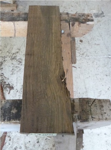 Mooreiche moorholz 2000 - mooreiche, jh