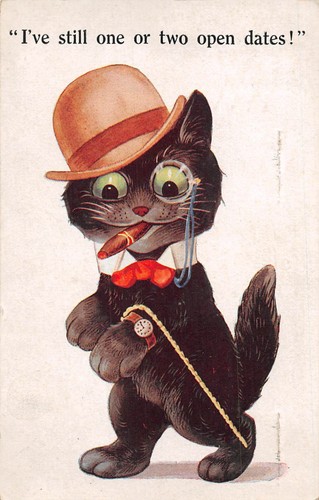 Postkarte katzen ich habe - habe, noch