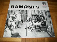 PUNK GARAGE ROCK LP AUSWAHL