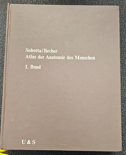 Sobotta becher auflage - sobotta/becher,, 17.auflage