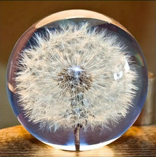 Deko Kristallkugel Löwenzahn