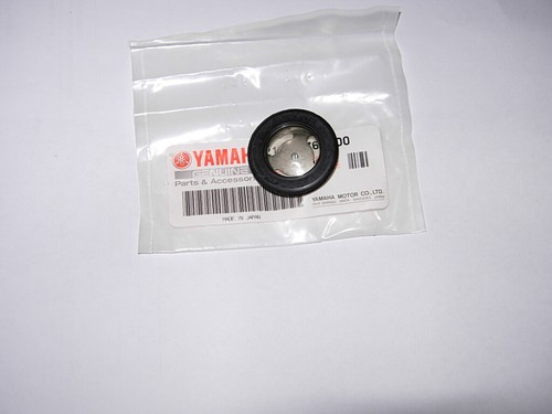 Yamaha ds7 ct gt - r5,