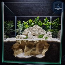 Aquarium and Terrarium 3d