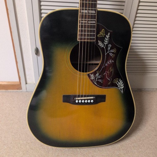 Pearl hummingbird - pearl,