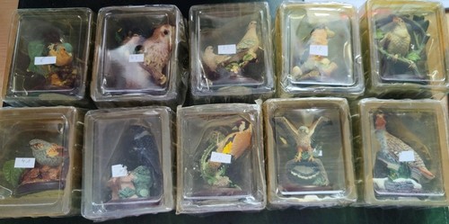 Unsere schöne vogelwelt - unsere,