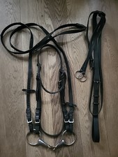 Ledertrense WB schwarz  mit Martingal