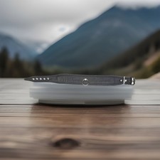 Lederhalsband mit Ring der O