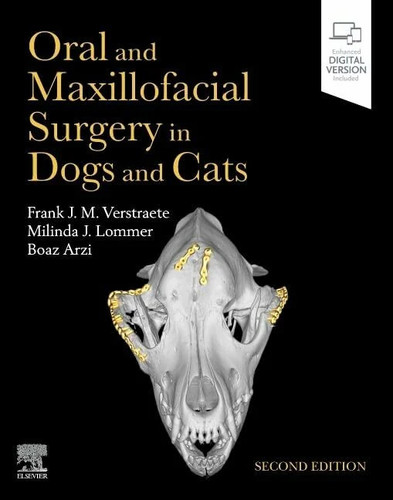Oral and maxillofacial surgery - oral,