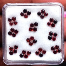 48 Stück Natürlich Mosambik