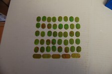 45 alte Hausser Elastolin