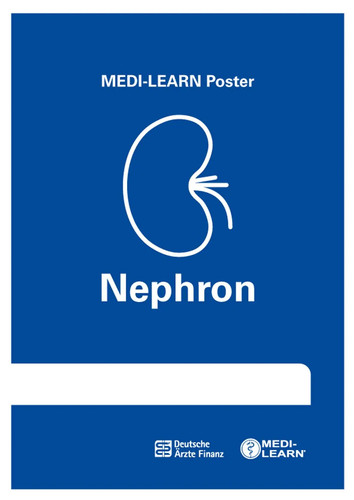 Nephron poster medi - nephron-poster, medi-learn