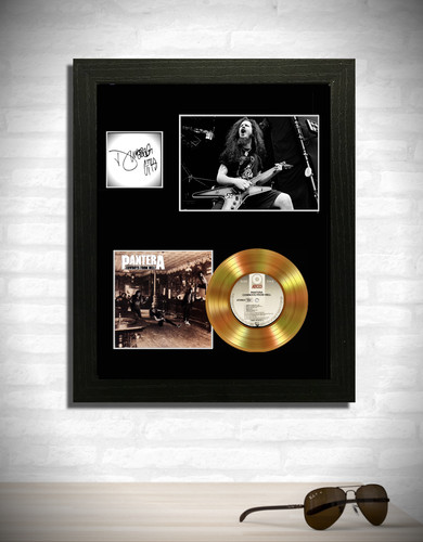 Pantera dimebag cowboys from - dimebag,