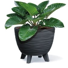 Blumentopf Pflanzschale Blumenkübel mit Füßen Pflanzkübel Furu Rund Tannennadeln