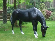Lebensgroßes pferd ascalor - pferd,