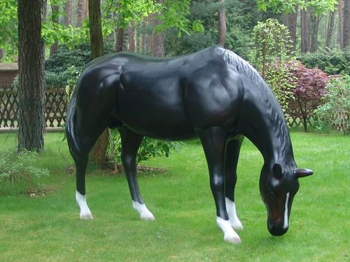 Lebensgroßes pferd ascalor - lebensgroßes,